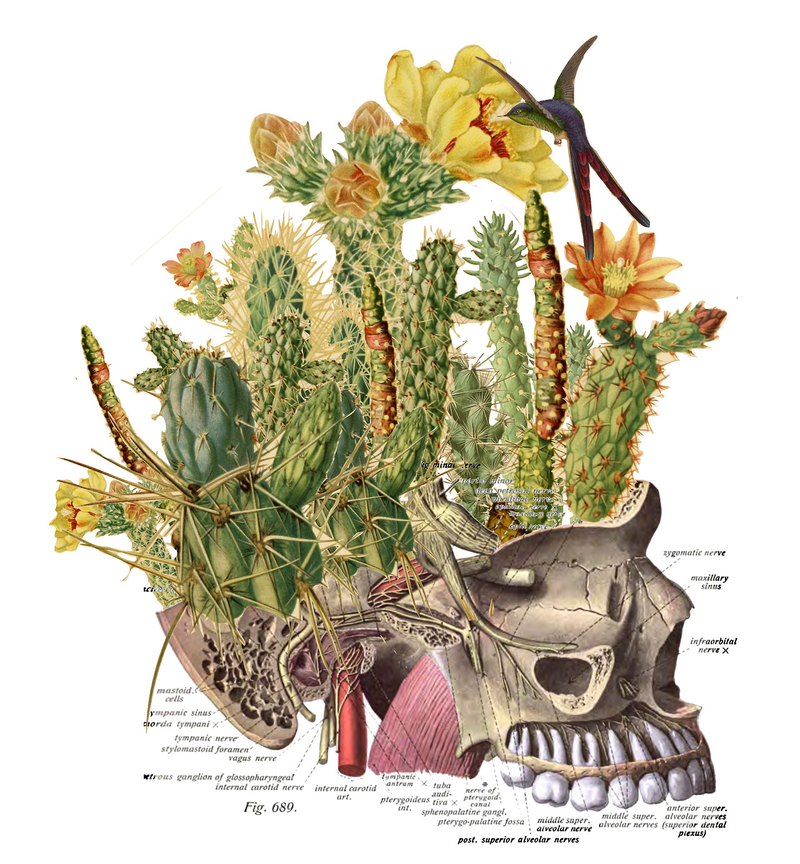 Illustration for article titled Surreal Collages of Animals, Plants, and Body Parts Are Subtly Creepy